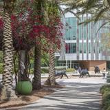 University of South Florida Tour
