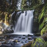 Multiple Hiking Opportunities!