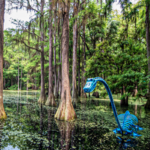 Tallahassee Museum