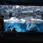 Pittsburgh Zoo & PPG Aquarium