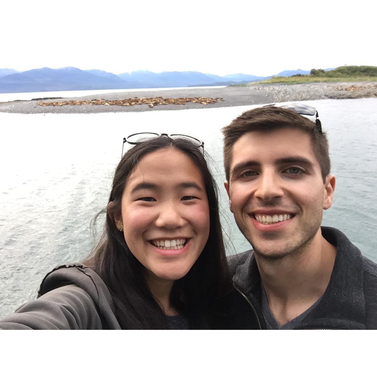 lazy seals in Alaska