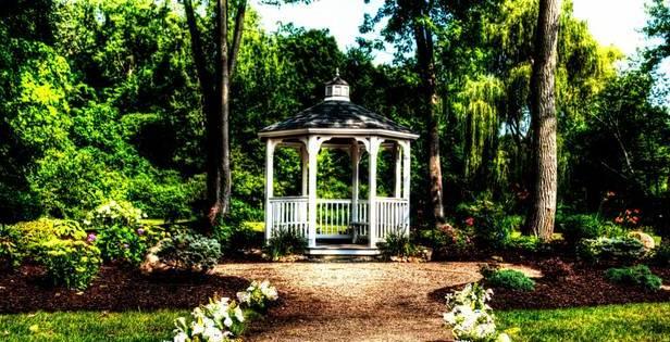 The Wedding Website of Elizabeth Lefebvre and Charles May
