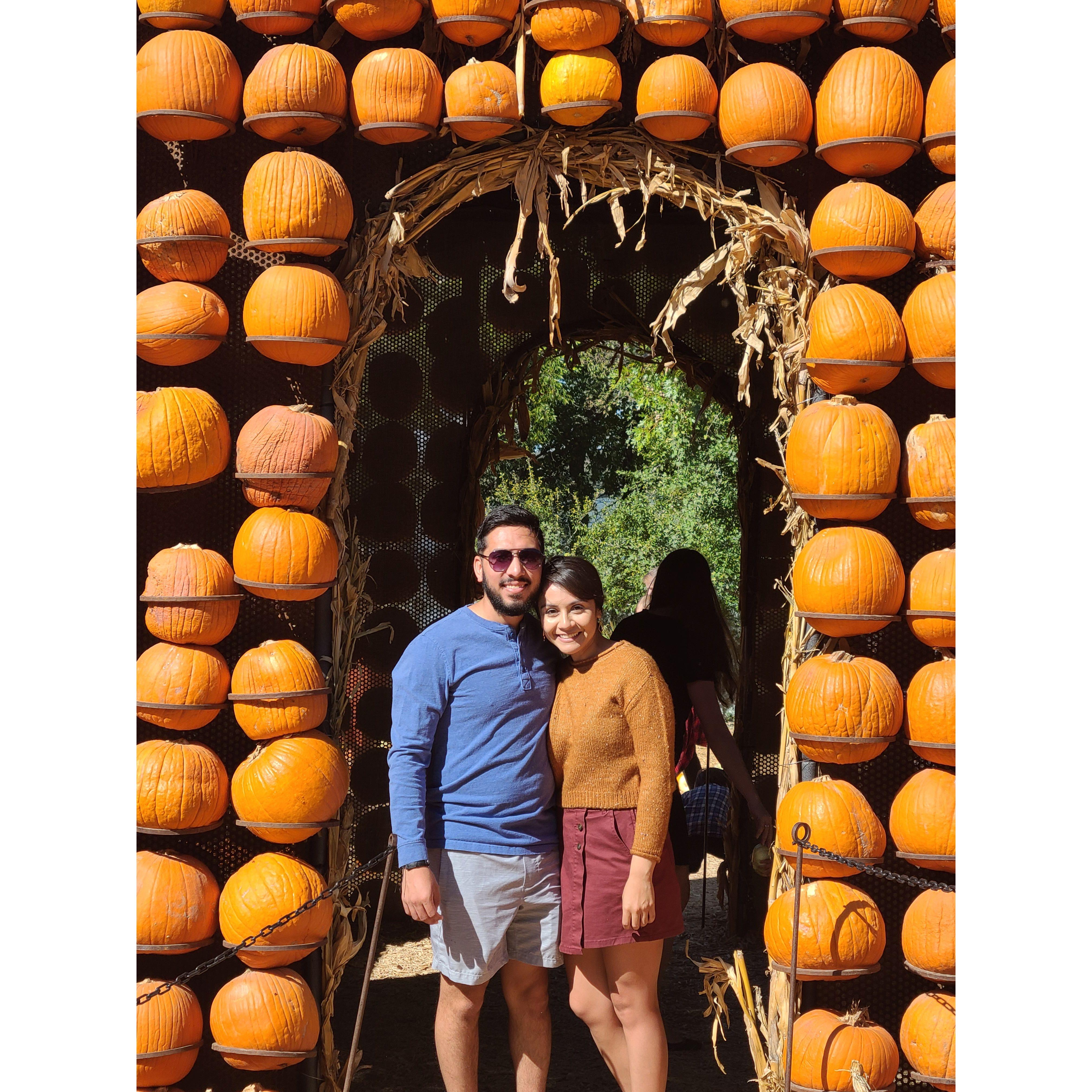 Pumpkin Patches and Fall Fun