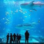 Georgia Aquarium