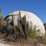 Sierra de la Laguna Biosphere Reserve