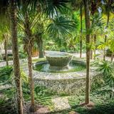 Miami Beach Botanical Garden