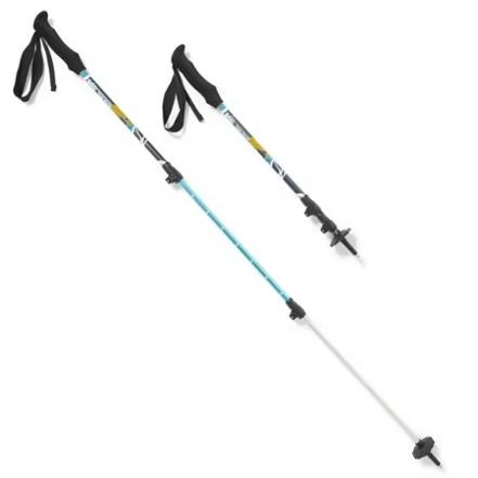 REI Trekking Poles