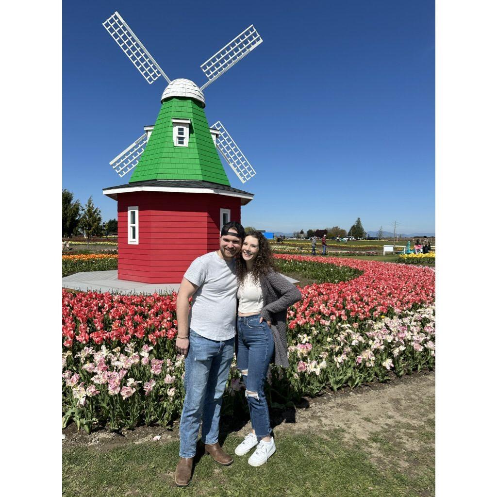 Tulip garden