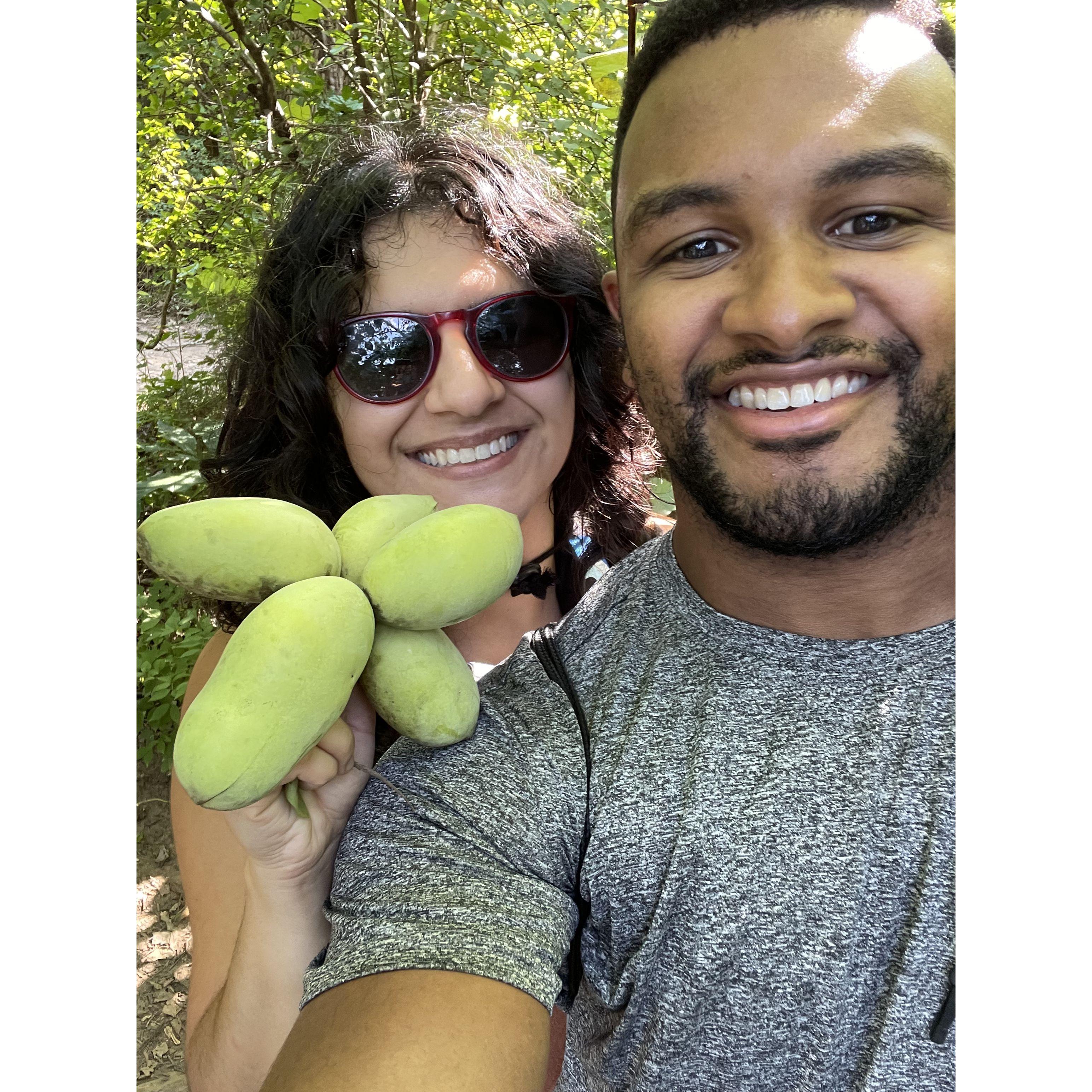 Paw Paw foraging at Rosevelt Island