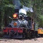 Henry Cowell Redwoods State Park