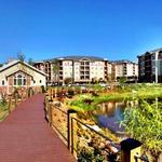 LangTree Lake Norman