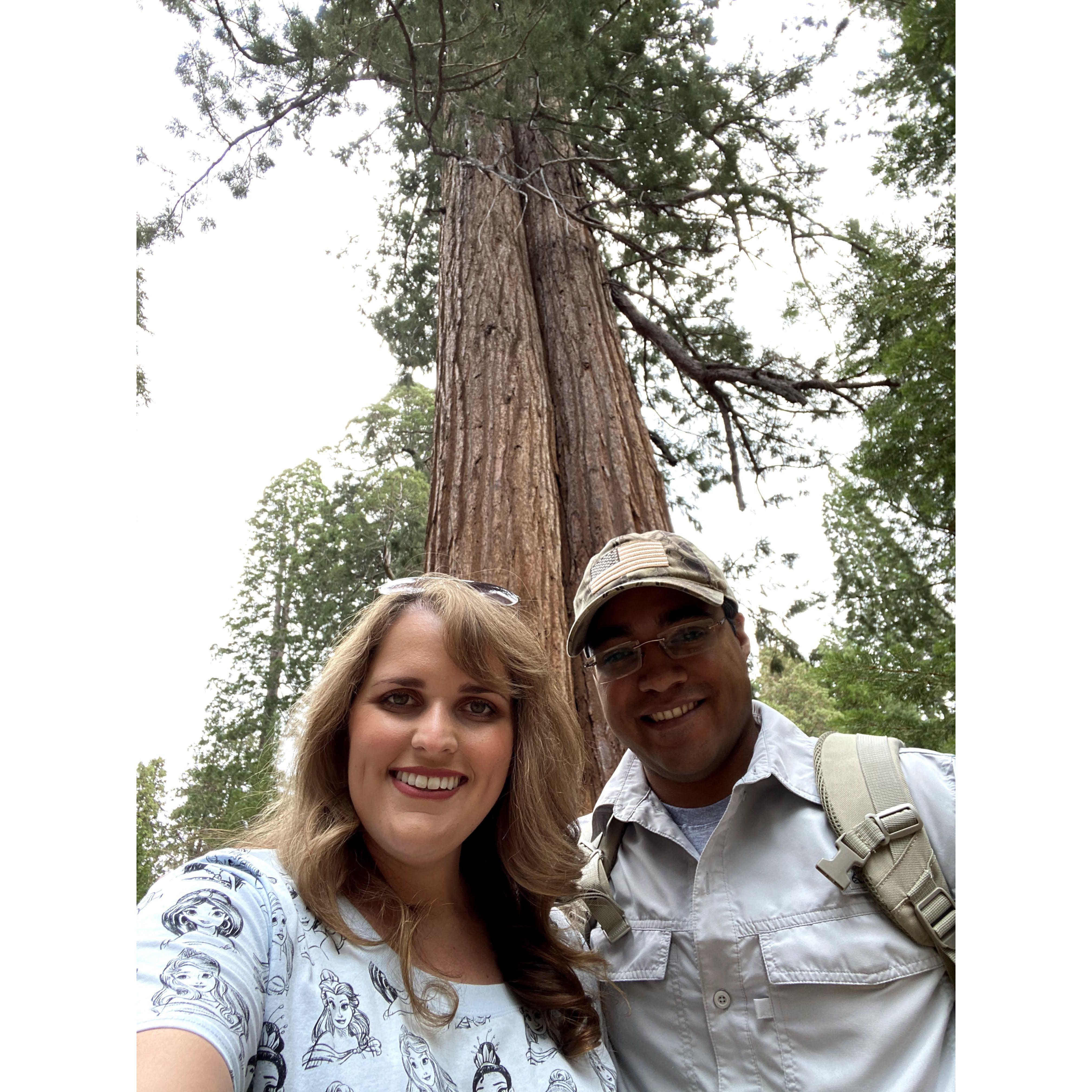 1st Trip out of town to Sequoia National Park