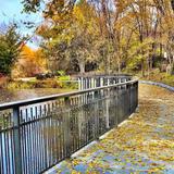 Kathryn Albertson Park