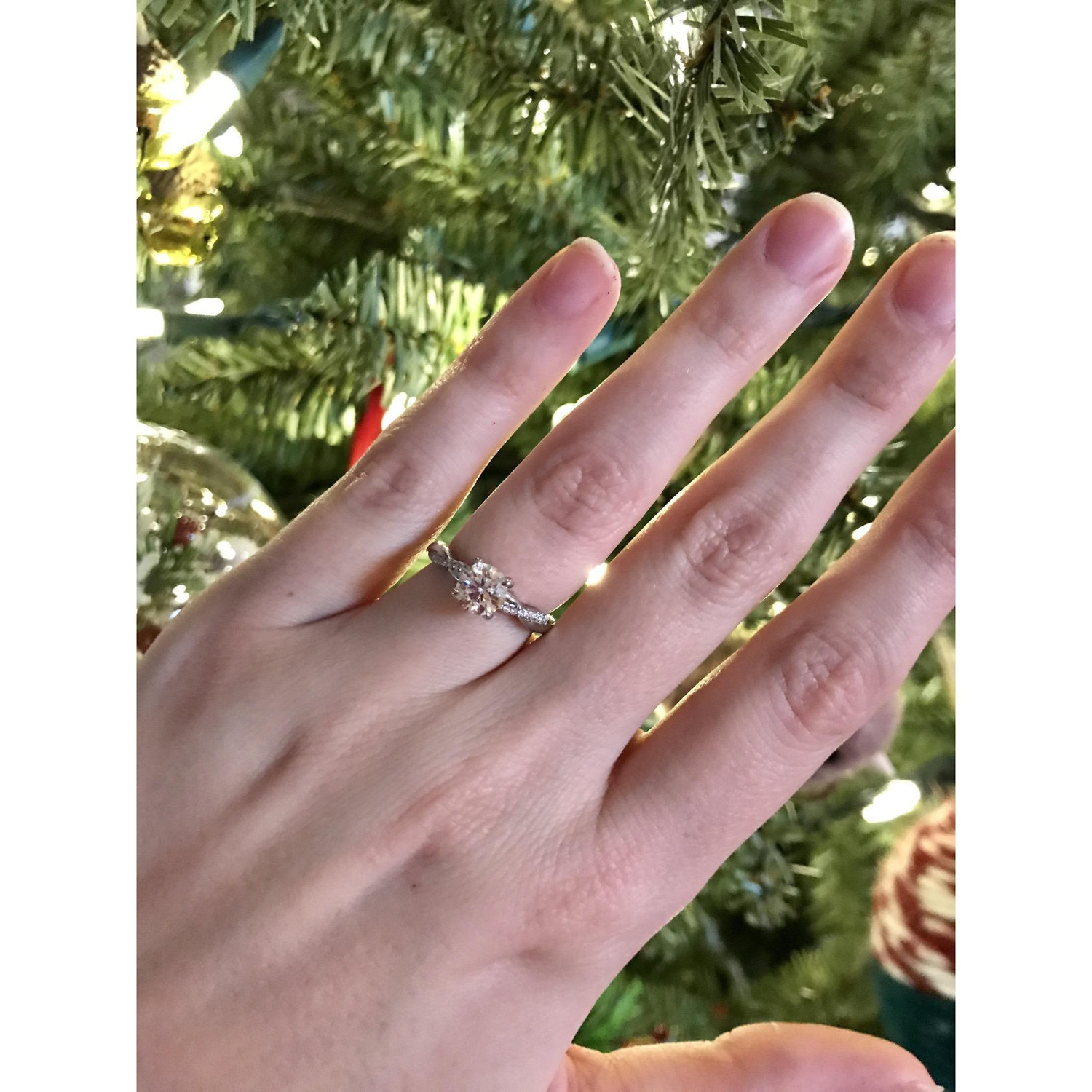 12/25/2018 - Christmas Day Proposal