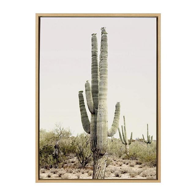 Kate and Laurel Sylvie Sunrise Cactus Framed Canvas Wall Art by Amy Peterson, 23x33 Natural, Peaceful Art for Wall