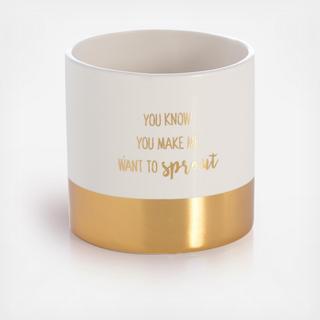 "You Know You Make We Wanna Sprout" Planter