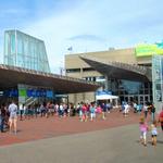 New England Aquarium