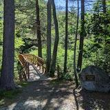 Salem Town Forest