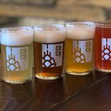 Component Brewing Company