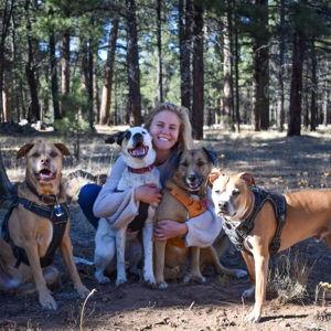 The Dog's Adventure Fund