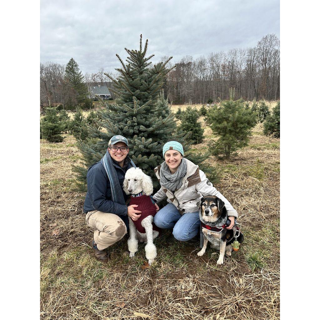 Picking our Christmas tree for 2023