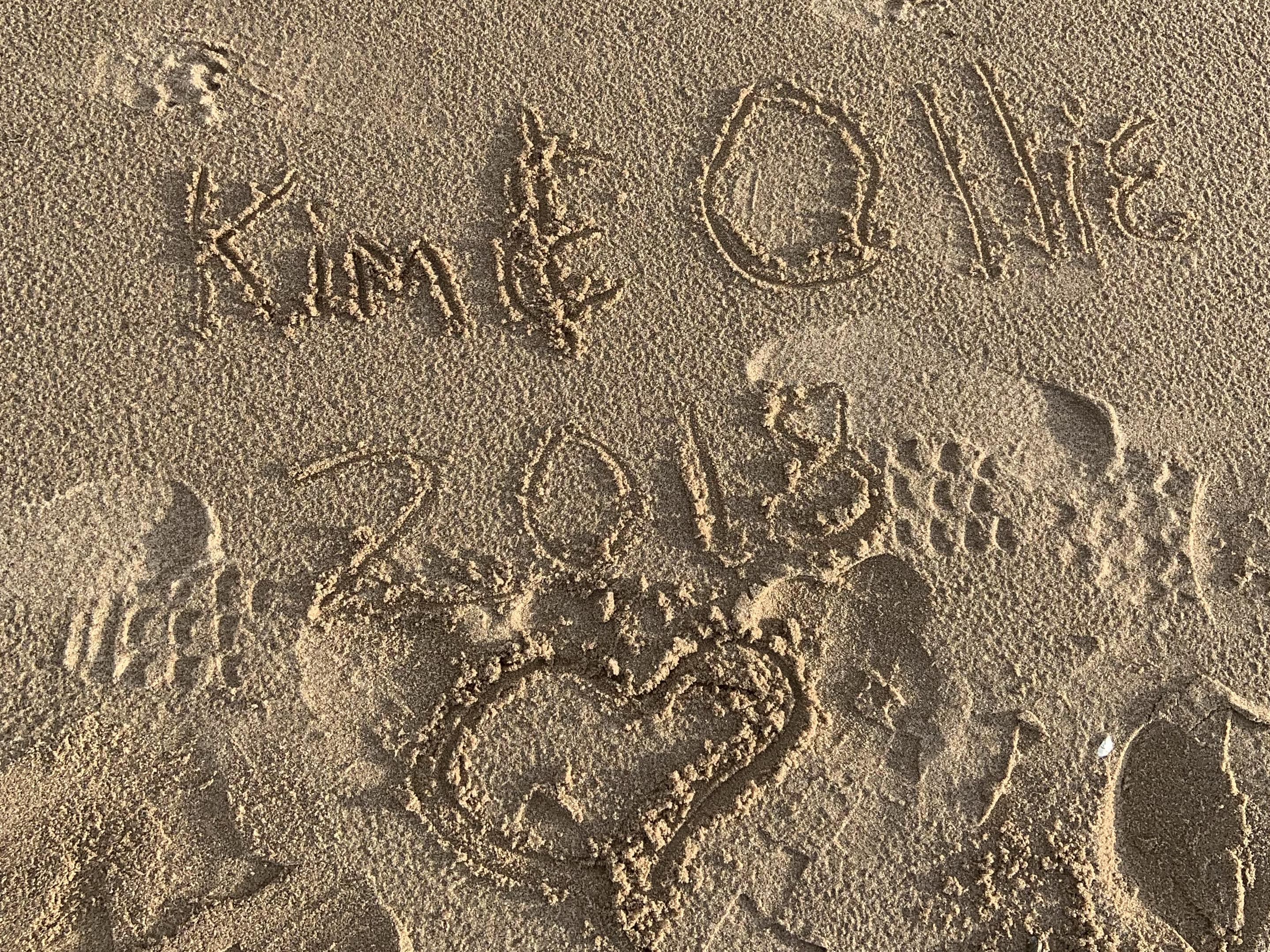 The Wedding Website of Kimberly Washington and Ollie Willson