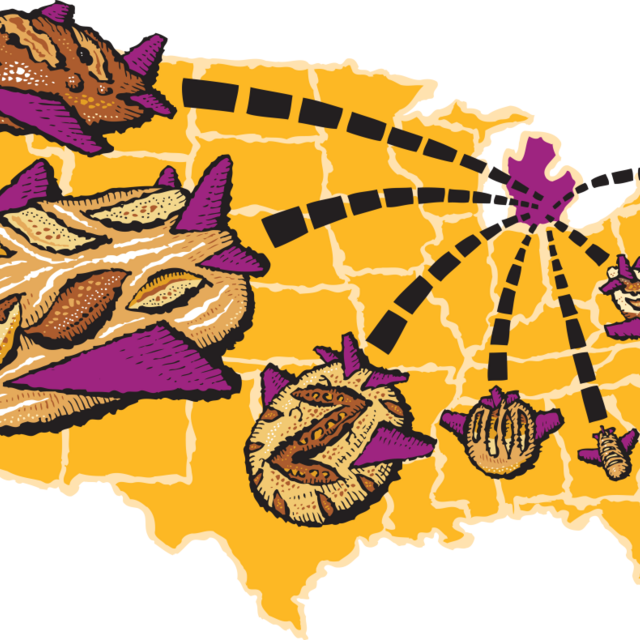 Zingerman's Bread Club Subscription