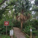 Scipio Creek Boardwalk