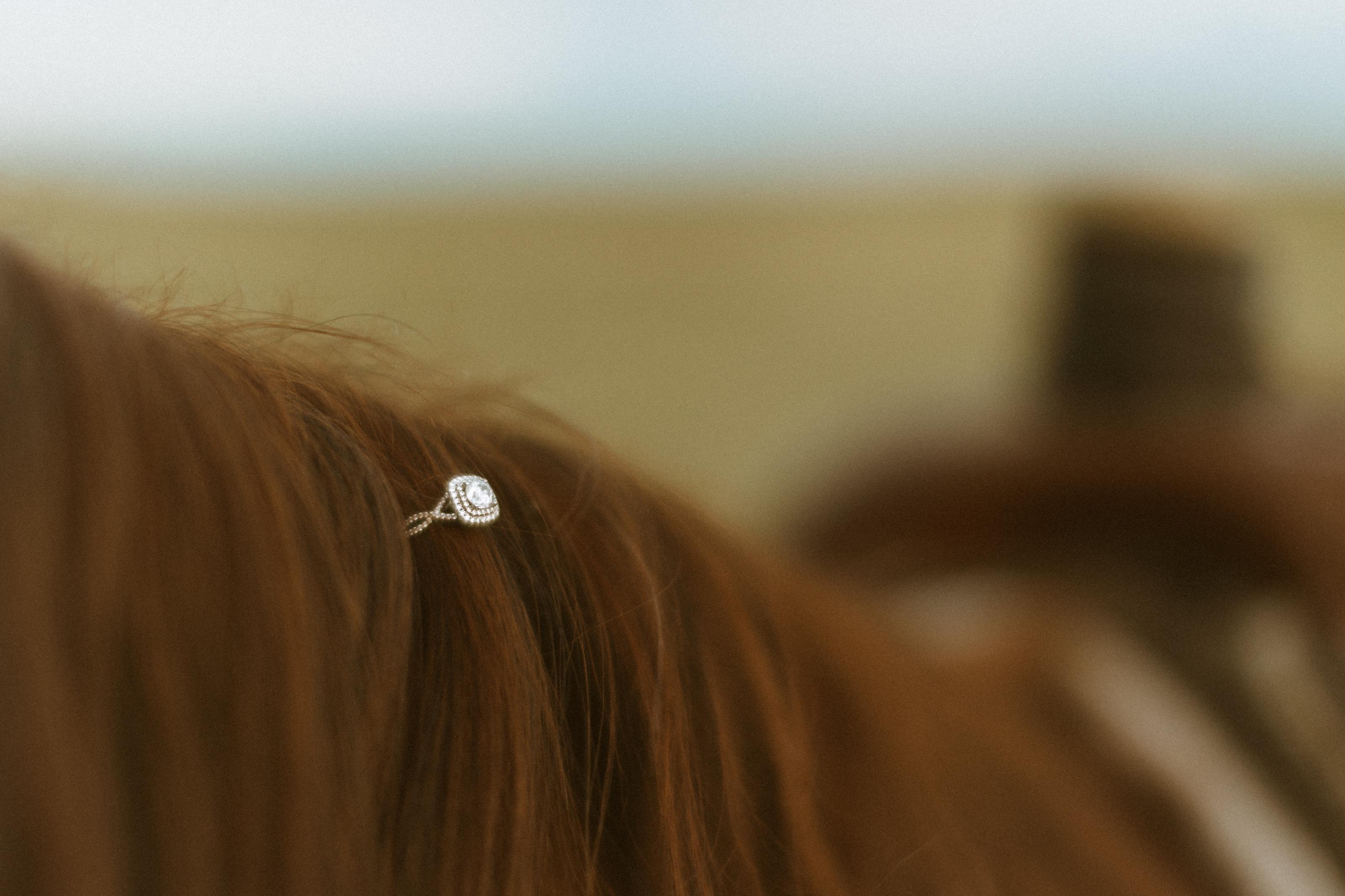 The Wedding Website of Reed Rackley and Jake Woirhaye