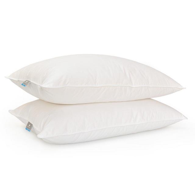Gerhard Soft Down Pillow (Set of 2)