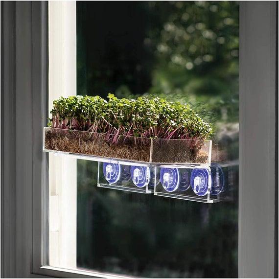 Window Garden Double Veg Ledge Microgreens Bundle Growing Kit (5 Crops) – Pre-Measured Soil and Seed. Complete Easy Growing Indoor Garden.