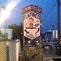 Flamingo Miniature Golf Course