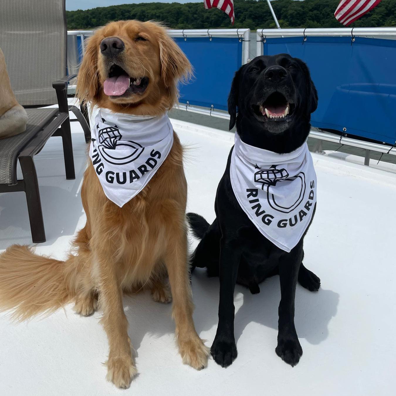 The leaders of the VGB (Very Good Boi) club! Our boys Riggs and Oakley go with us everywhere they can.