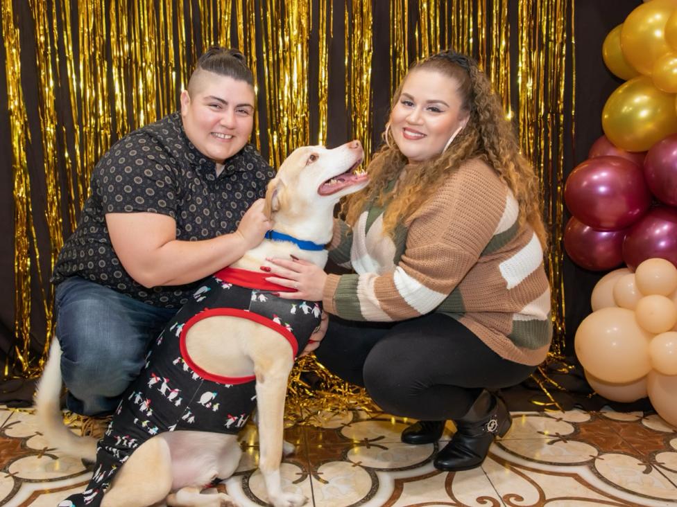 85269e42-3a84-4d76-abe1-699b37d7e856