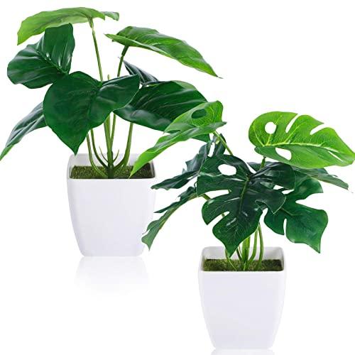 CEWOR 2 Packs Artificial Mini Greenery Potted Plants Fake Monstera Deliciosa and Scindapsus Leaves in Small Plastic Pot for Home Farmhouse Office Windowsill Bathroom Desk Decor