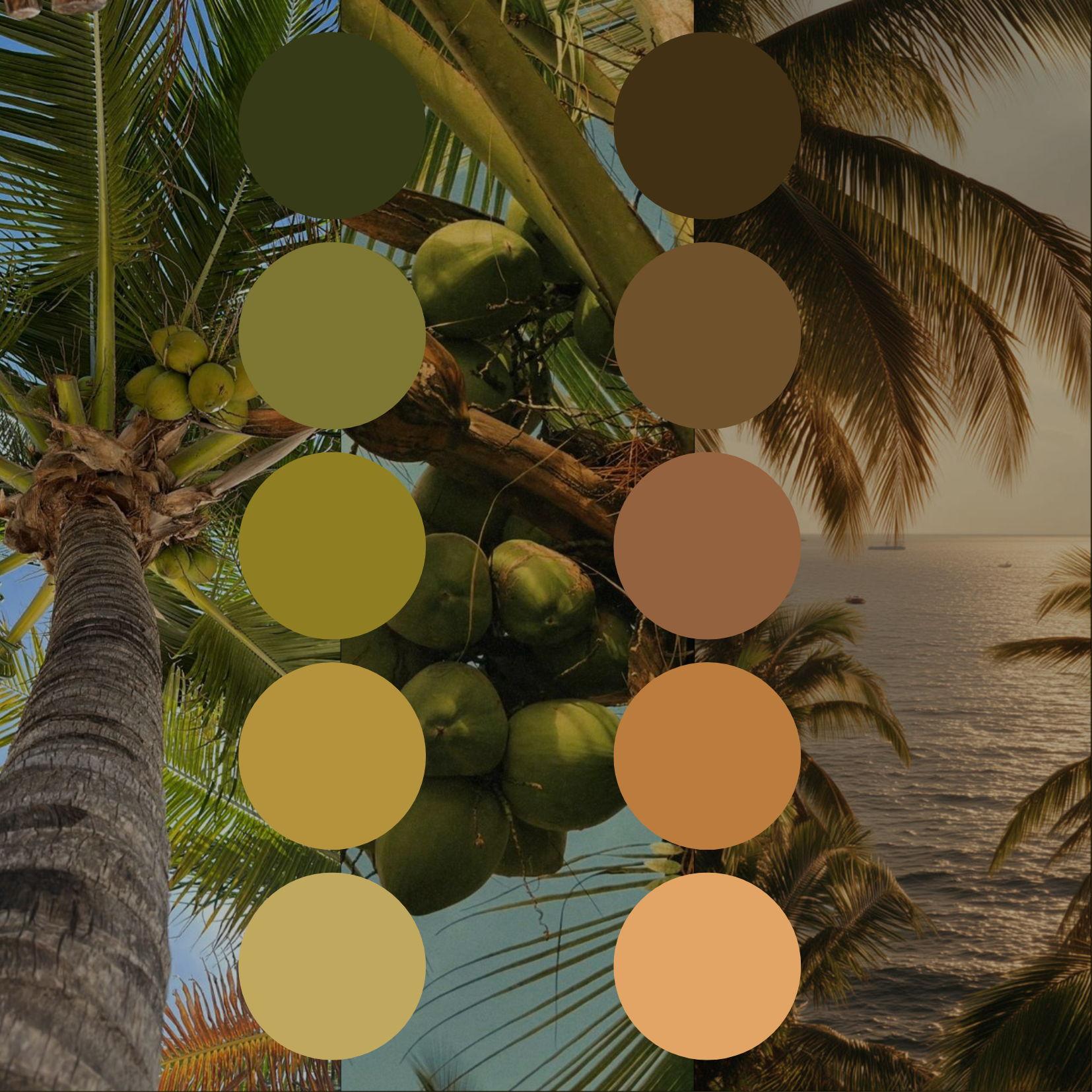 The Palette