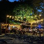 Jonny Tamarindo