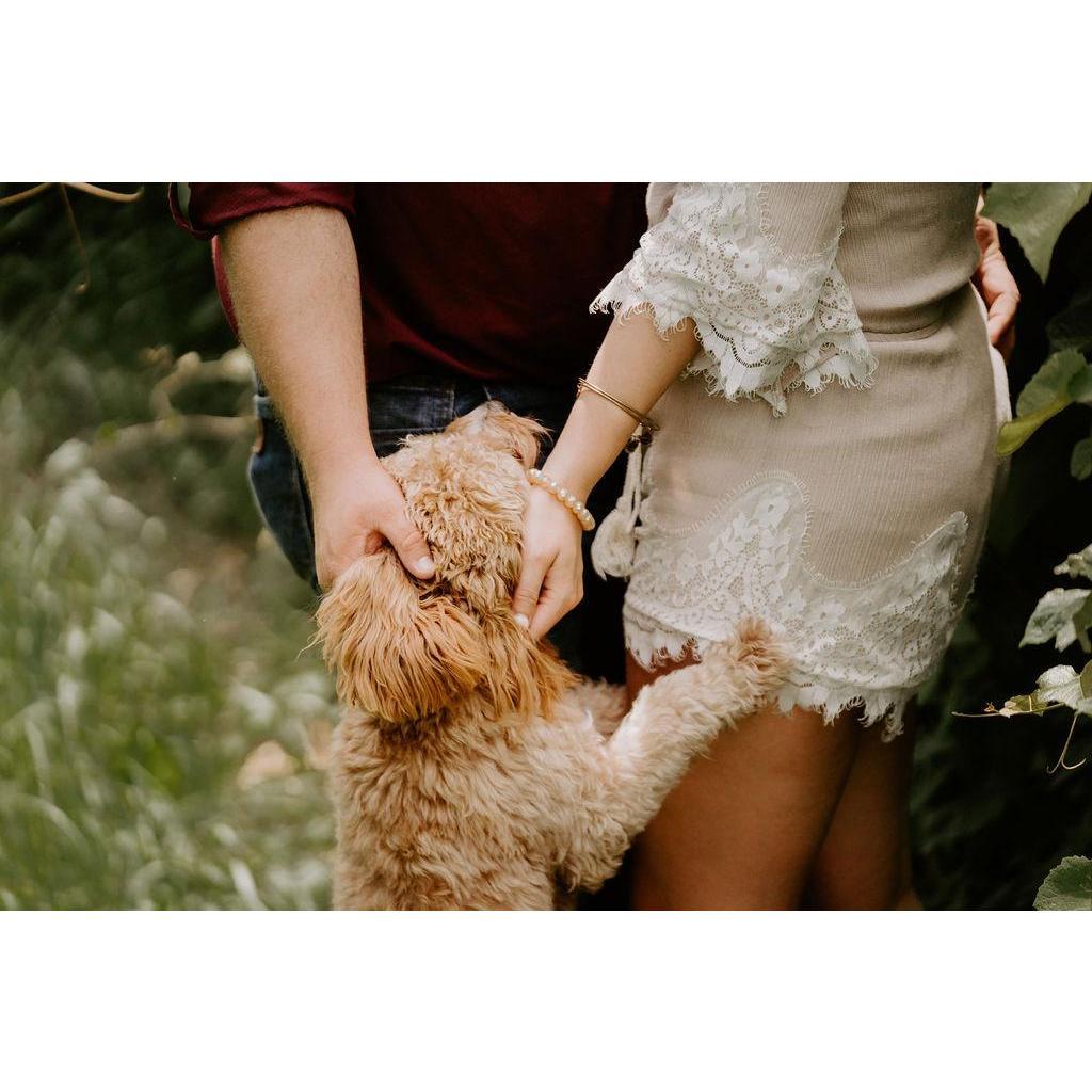 Our fur baby was just as excited for us to get engaged as we were!