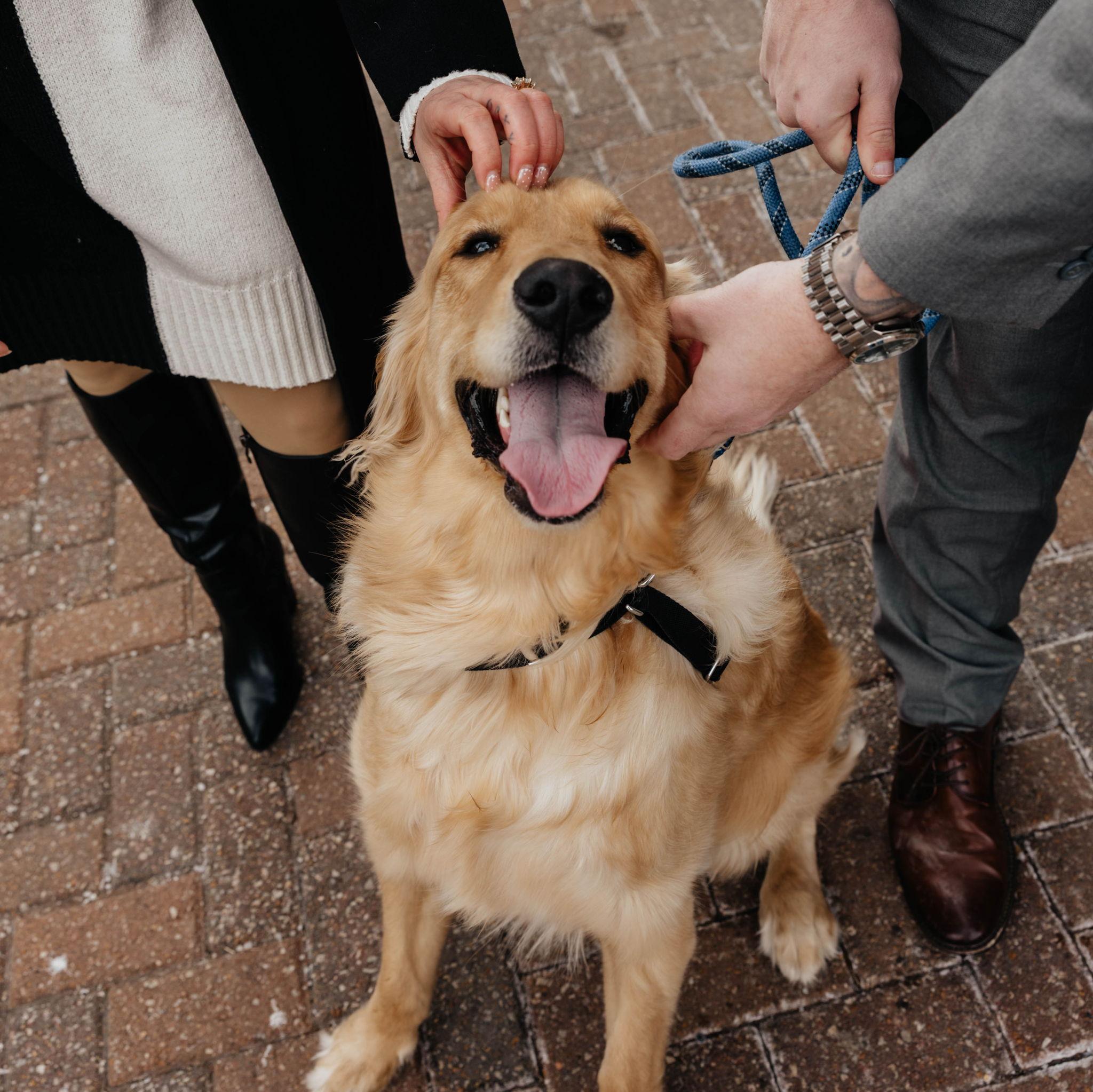Mom and dad are getting married!