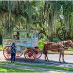 Garden District & Uptown