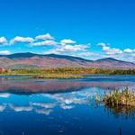 Cherry Pond Boardwalk