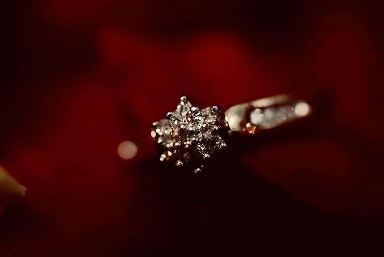 The Wedding Website of Waheeda Murarsheed and Daniel Curtis