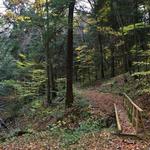 Hiking around Pittsburgh