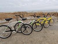 Harbor Bike & Beach Shop