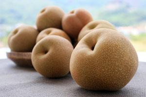 Pear Tree