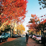 Ballard Neighborhood
