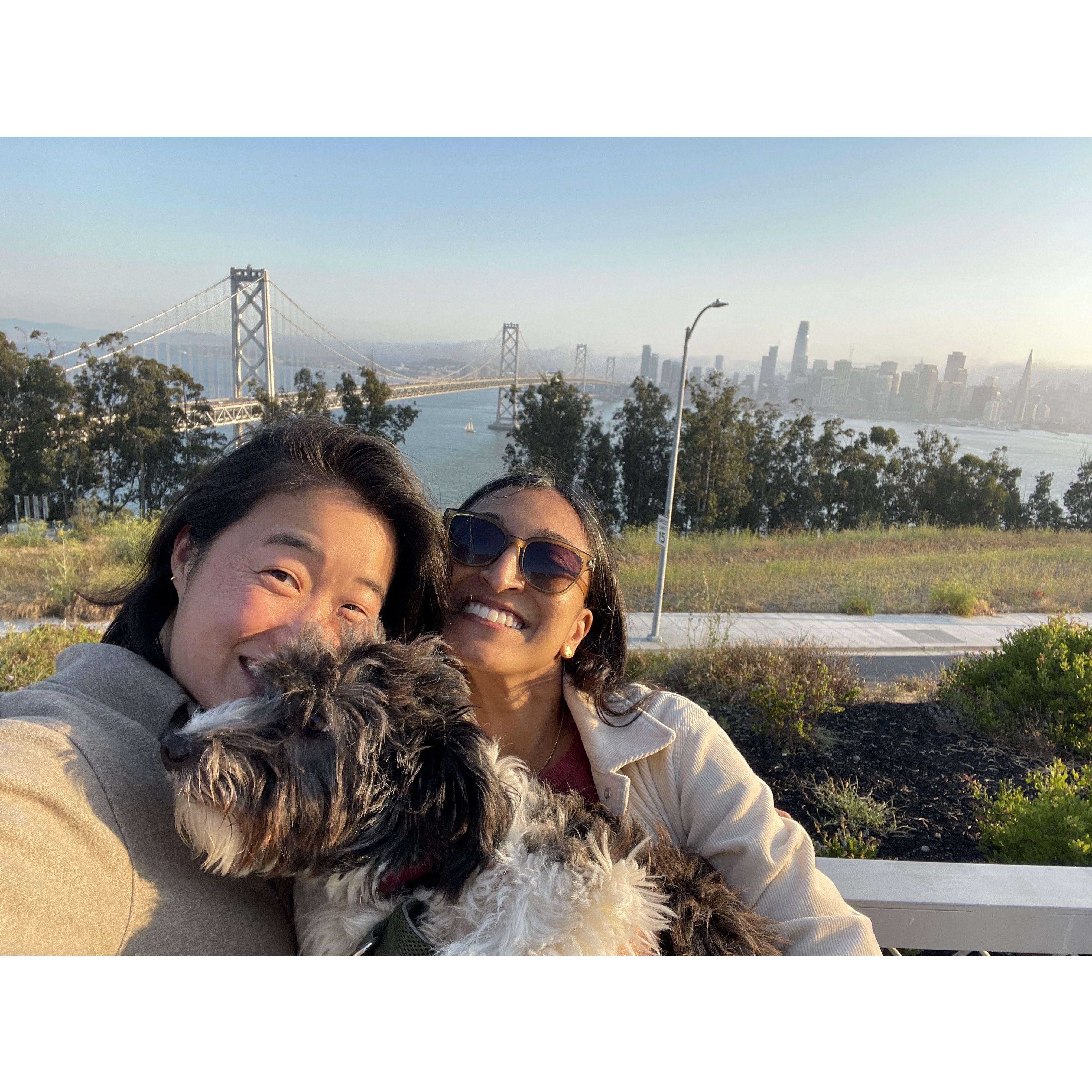 SF hooky day