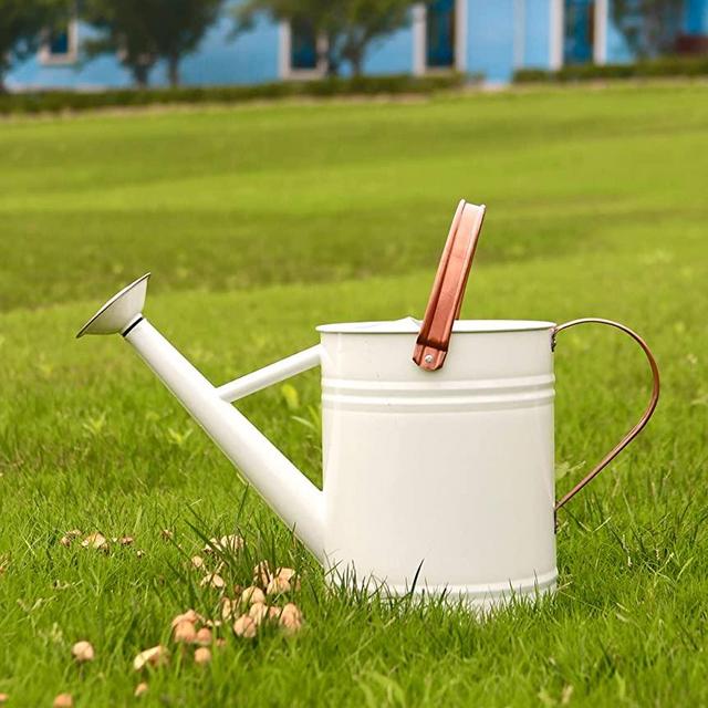 WEQUALITY Watering Can for Outdoor&Indoor，Metal Plant Watering Can with Copper Accents，1 Gallon Galvanized Steel Gardening Tool，White Color
