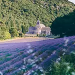 ☀️  Abbaye Notre-Dame de Sénanque - This is where you see the lavender for your IG pic