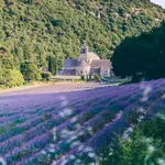 ☀️  Abbaye Notre-Dame de Sénanque - This is where you see the lavender for your IG pic